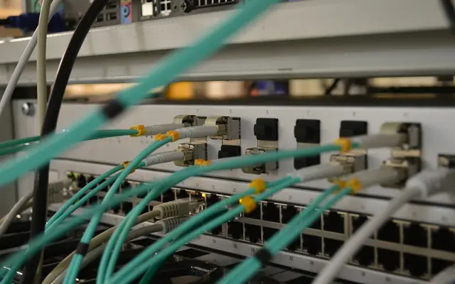 Network cables plugged into a patch panel
